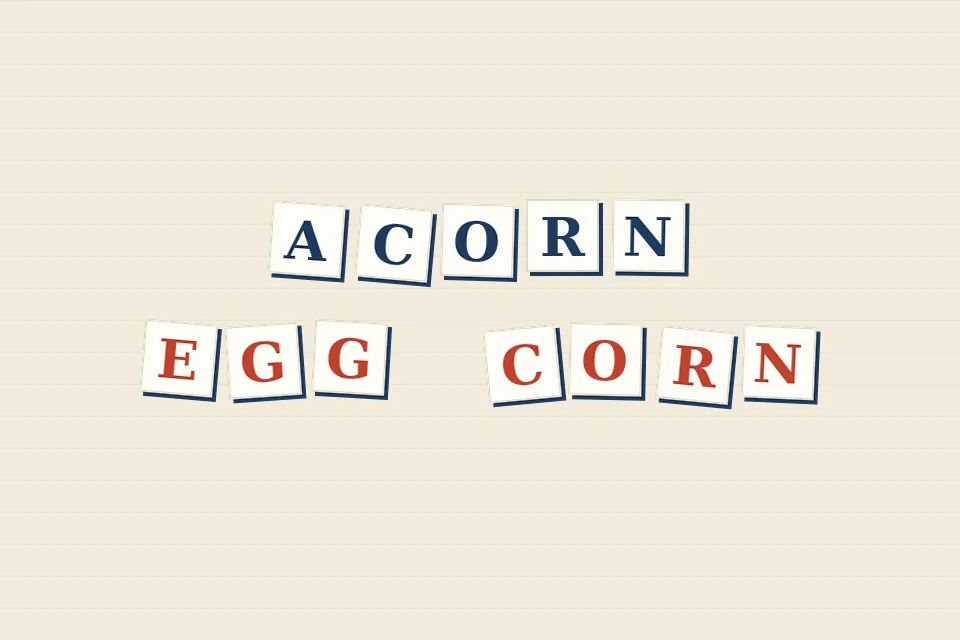 Cream letter tiles on a lined background spelling ACORN in one row and EGG CORN in the row below